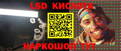 PSILOCYBIN Малоярославец