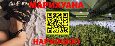 прущие крисы Малгобек