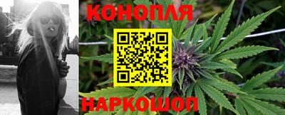 прущие крисы Малгобек
