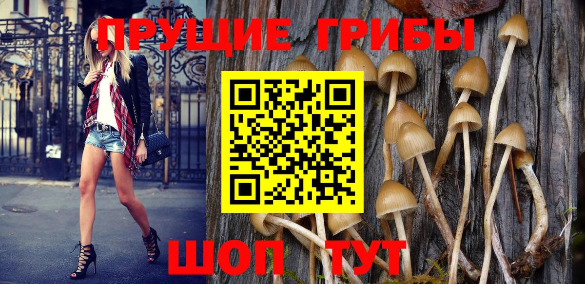 Сафоново  Галлюциногенные грибы MAGIC MUSHROOMS  Вход с VPN 